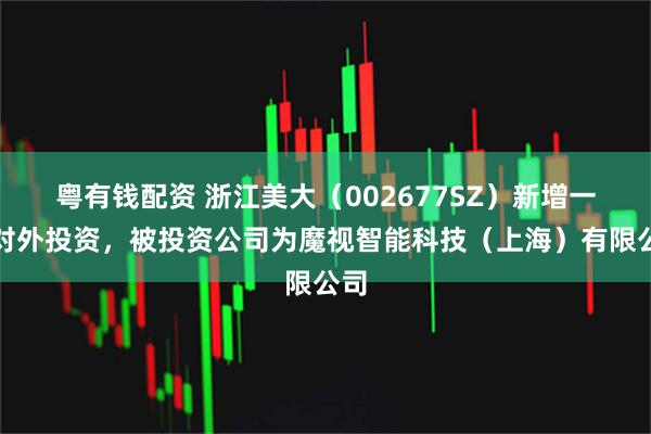 粤有钱配资 浙江美大（002677SZ）新增一起对外投资，被投资公司为魔视智能科技（上海）有限公司